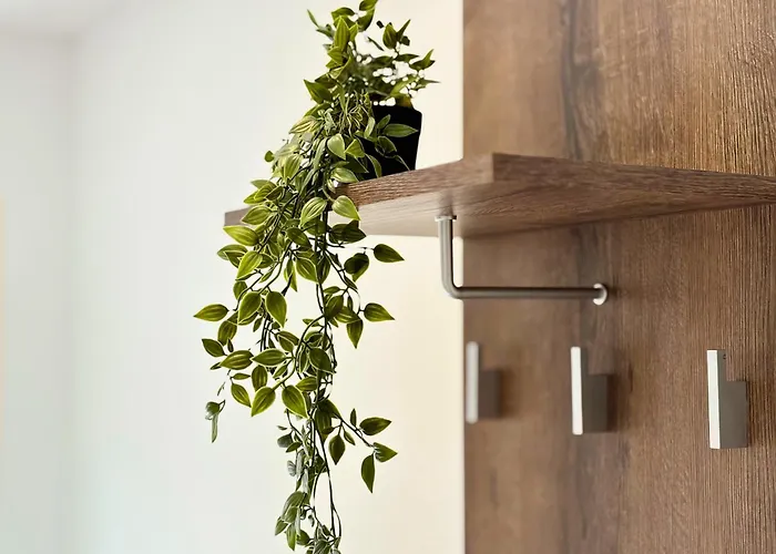 Charm 2 * Варна